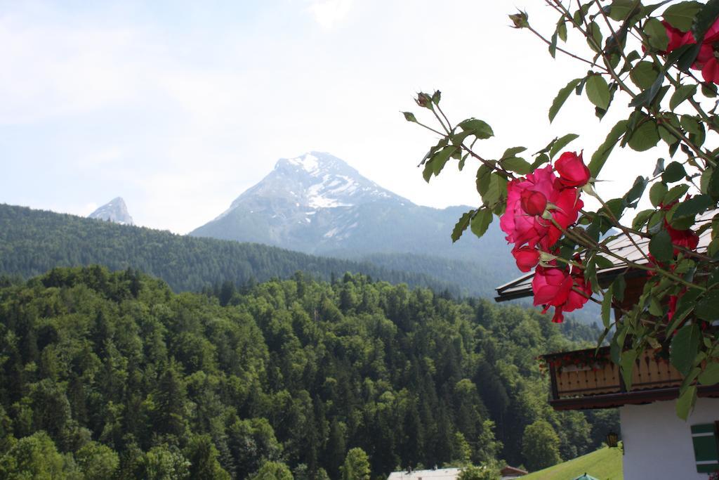 Appartement Alpenferienwohnungen Wiesenlehen *