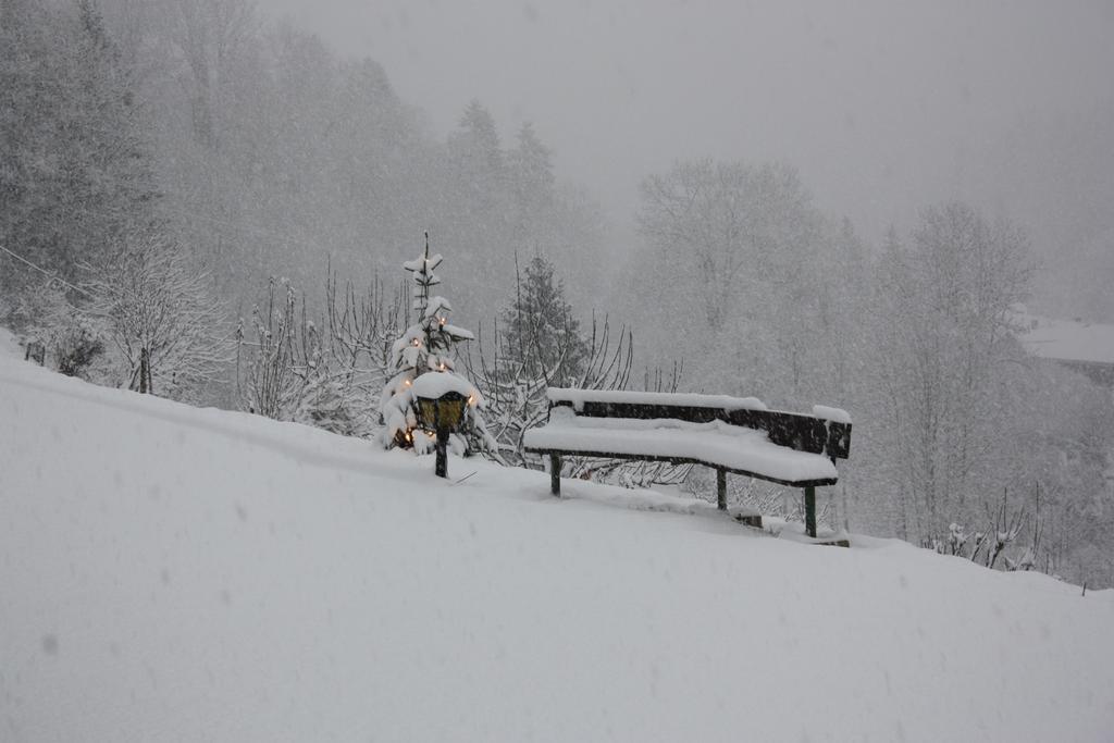 Apartment Alpenferienwohnungen Wiesenlehen Berchtesgaden