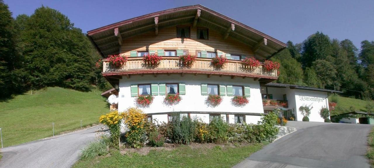 Alpenferienwohnungen Wiesenlehen Appartement *